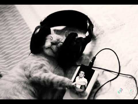 اغنيه عراقيه اغنيه وين تريد خليها على الخدين ما يخالف فوق العين ما يخالف