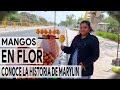 MANGO EN FLOR sorprendiendo a una vendedora | Youtubero Salvadoreño