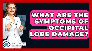 What Are The Symptoms Of Occipital Lobe Damage? - Optometry Knowledge Base