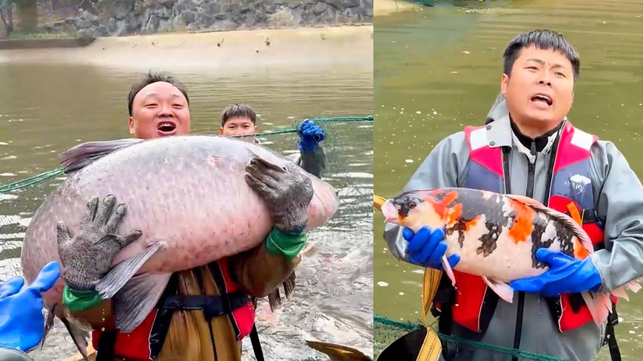 Ngày đầu tiên của biểu ca trong chiến dịch đánh bắt cá khổng lồ tại hồ bí ẩn lớn nhất thế giới