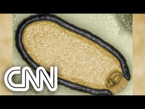 Vídeo: Quando o vírus Zeus foi criado?