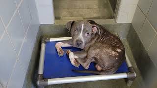 acs A652759