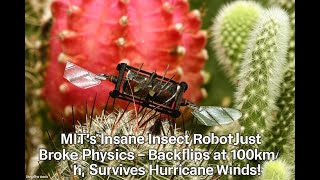 MIT's Insect-Inspired Microrobot and Its Game-Changing Potential Across Industries