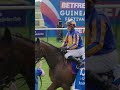 A hugely impressive 1000 Guineas victory for True Love ❤️