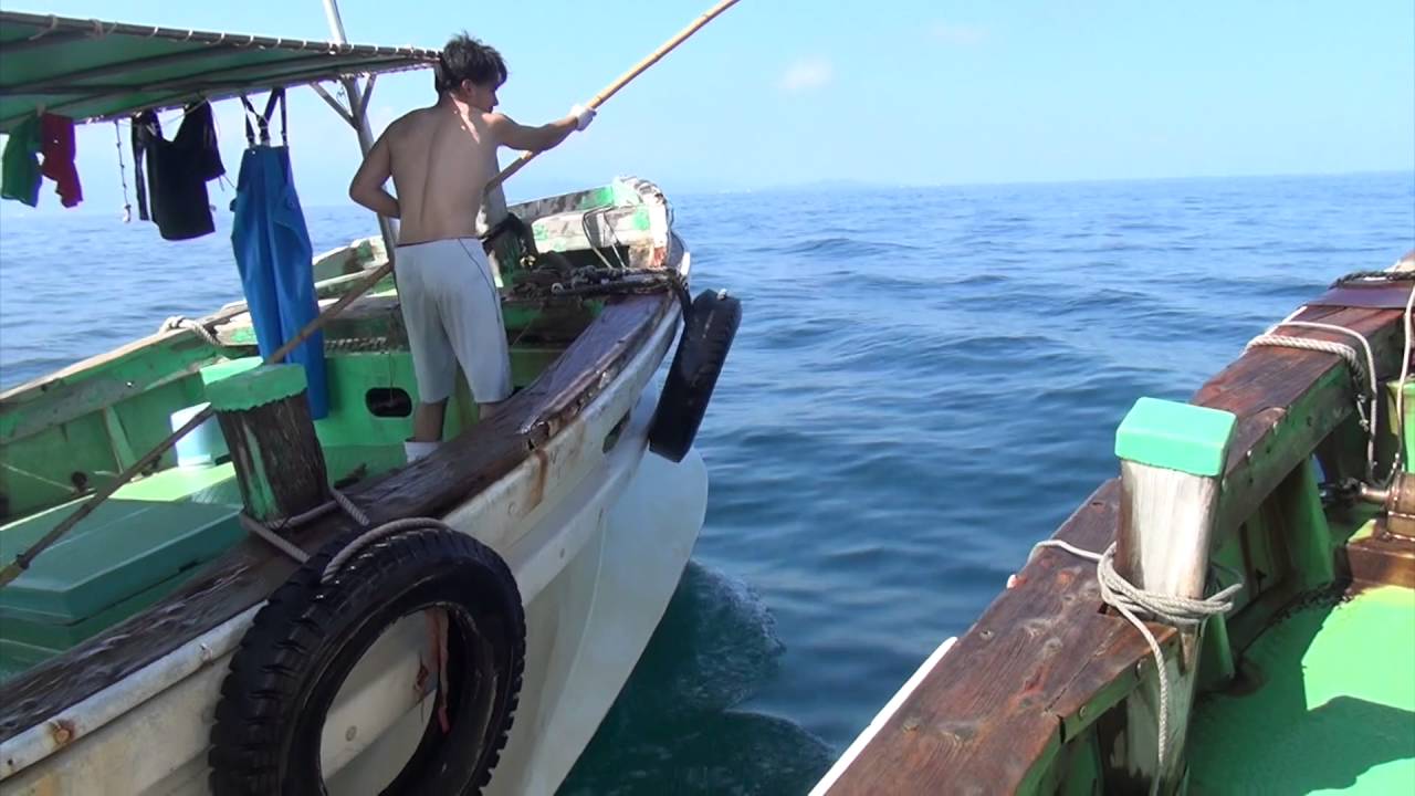 Time of Travel Japanese Anchovy Fishery in Ibukijima Island Part 1