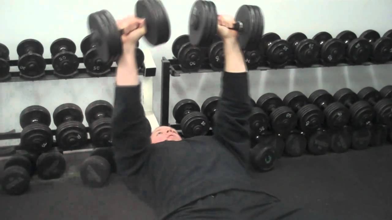 Dumbbell Bow and Arrow Bench Press Exercise YouTube