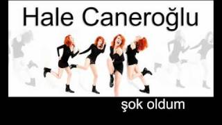 Hale Caneroğlu - Sok Oldum Resimi