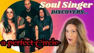SOUL SINGER discovers A PERFECT CIRCLE! Then remembers is MAYNARD from TOOL!!