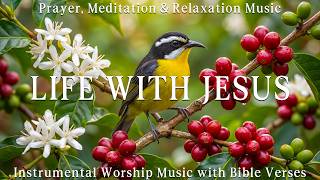 LIFE WITH JESUS | Soaking worship instrumental & Beautiful Bird Scenes for Prayer and Devotional screenshot 5
