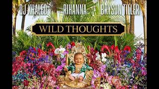 DJ Khaled ft Rihanna and Bryson Tiller - Wild Thoughts (Official Instrumental)