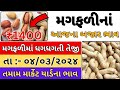 મગફળી(જીણી) ભાવમાં જોરદાર તેજી | magfali na bhav | 04-03-2024 | મગફળી ના ભાવ | આજના બજાર ભાવ