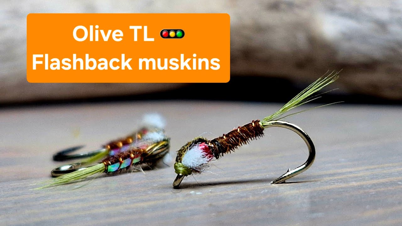 Olive traffic light flashback muskins