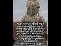 அர்ப்பணிப்புடன் ஒரு வேலையை செய்யவேண்டும் | Buddha quotes| Tamil Motivational shorts whatsapp status