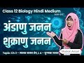 Class 12 Biology Chapter 2 | मानव जनन तंत्र L-4 | शुक्र जनन और अण्ड जनन | Hindi Medium 2026-27