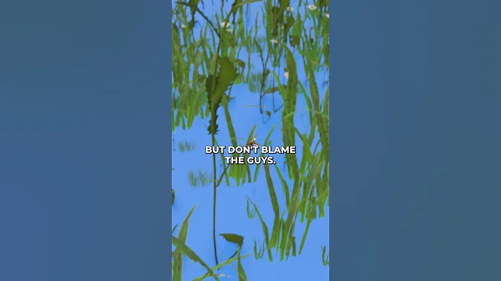 CRAZY fact about mosquitoes