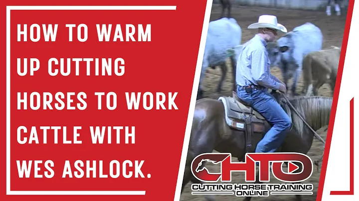 How To Warm Up Cutting Horses To Work Cattle With Wes Ashlock.