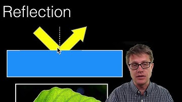 Light Absorption, Reflection, and Transmission