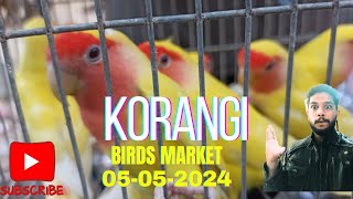 Love birds price update / Korangi birds market / 05052024
