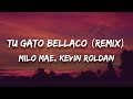 Milo Mae, Kevin Roldan - TU GATO BELLACO (Remix) (Letra / Lyrics)