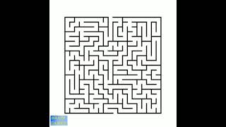 Maze puzzle