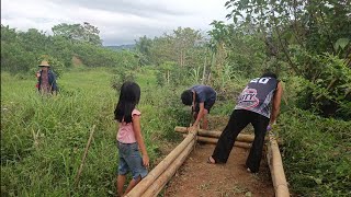 Cooking Menudo A Taste Of Filipino Heritage
