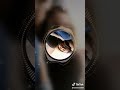 فكرك يعني بالغيرة فيكي تجيبيني فكرك يعني بالغيرة فيكي تجيبيني