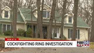 Cockfighting ring investigation in Luzerne County, over 100 birds seized