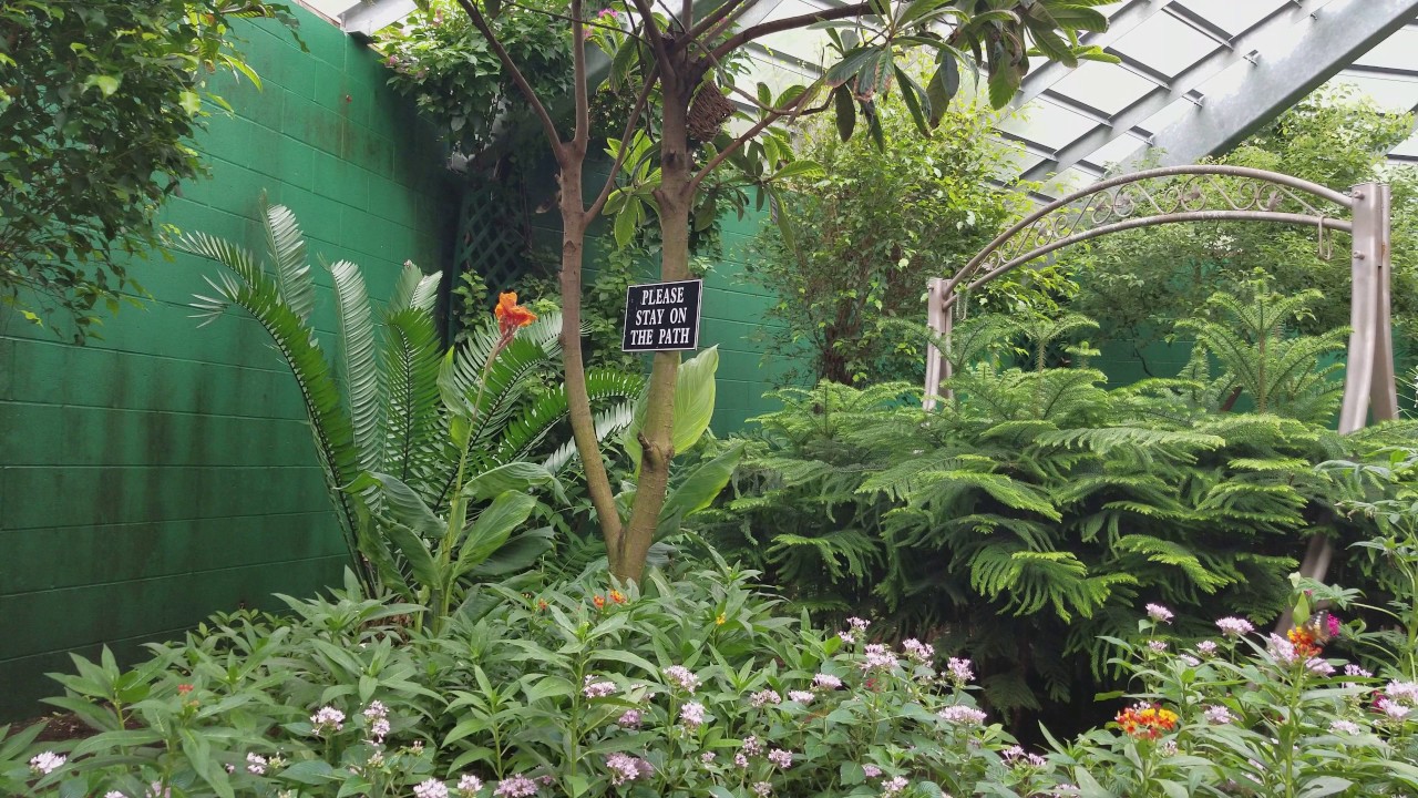 The Butterfly Place Westford Ma Youtube