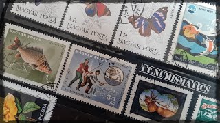 Celebrity Stamps of Hungary 🇭🇺 #magyar #hungary #stamp #stampcollection #philately #tt_collectibles #hobby Wealth