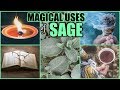 BENEFITS OF SAGE TO GET RID OF NEGATIVE ENERGY, REMOVE OBSTACLES, NIGHTMARES, ATTRACT YOUR DESIRES!