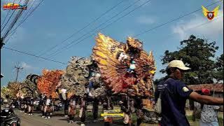GOYANG LAGEDAY - SINGA DANGDUT SINGA BARONG / SHOW DANAREJA