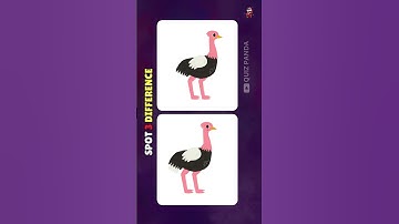 Spot The Difference : Only Genius Can Find The Differences