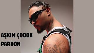 Lvbel C5 - Aşkim Çook Pardon 1970S Motown Soul Version Ai Cover