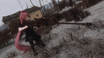 Fallout 4 2021 Travel with GFL NTW20 (companion mod)