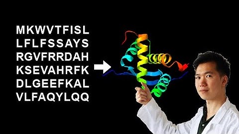 Convert amino acid sequence to 3D protein model in Phyre2