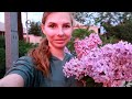 vlog 🌱 отмываю кухню / покупки в FIXPrice НАШЛА ГОРШОК И РОБОТА / как сохранить СИРЕНЬ В ВАЗЕ