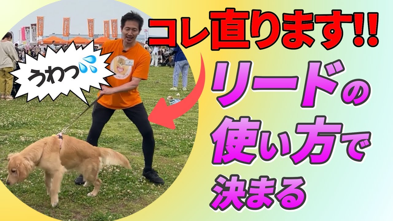 【超重要回】犬に気持ちが伝わるリードの使い方を教えます！