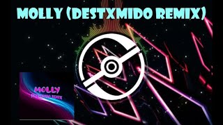 Molly (Destxmido Remix) - Playboy Carti VISUALIZER Resimi