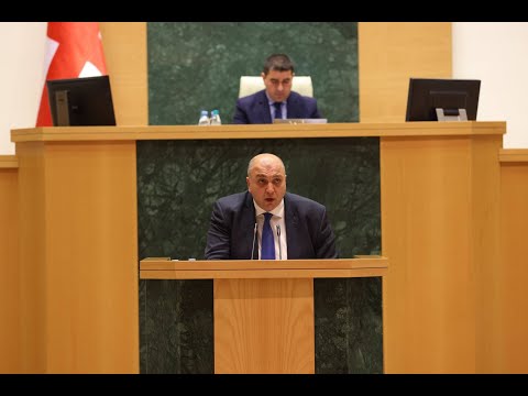 ირაკლი ქარსელაძე მინისტრის საათის ფარგლებში პარლამენტში