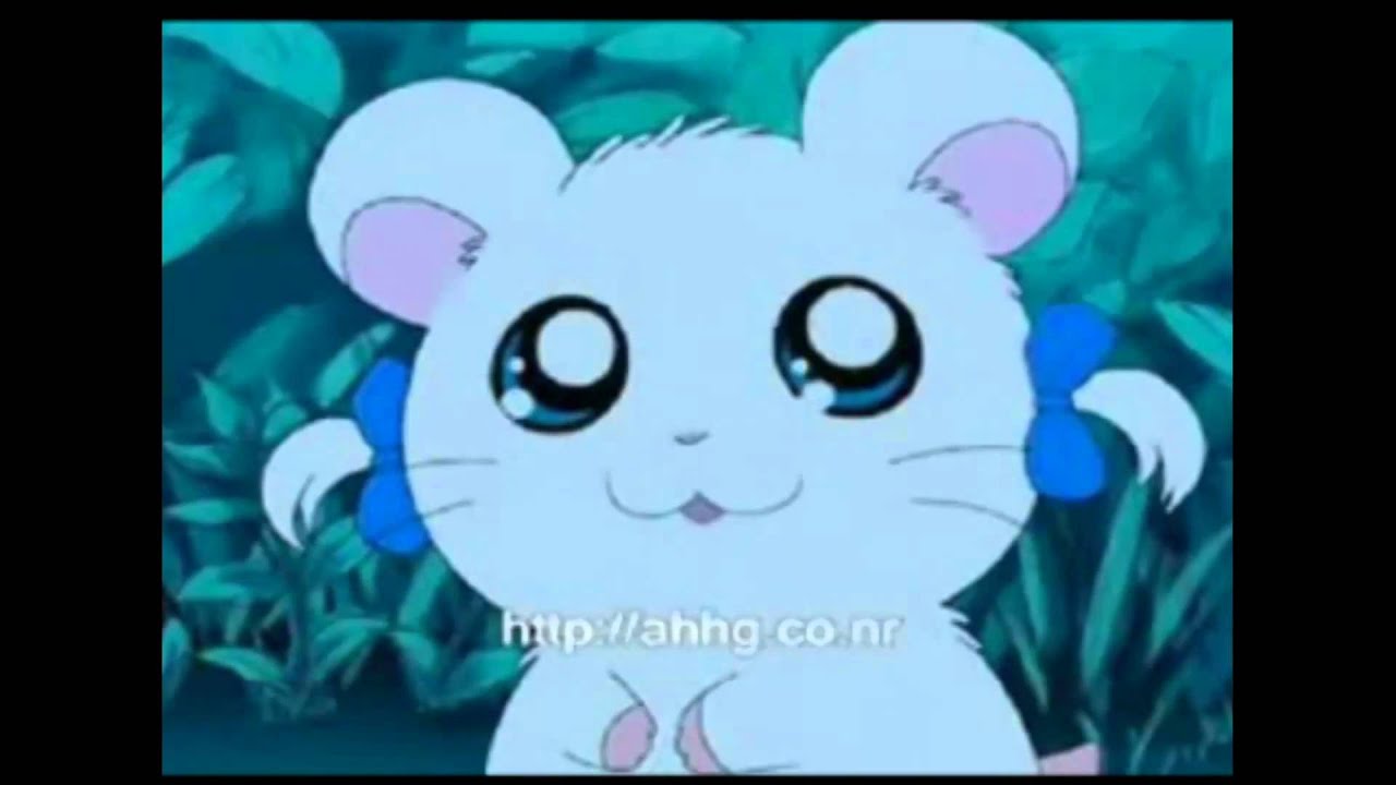 Hamtaro & Bijou-Roses Are Red