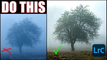Great FOGGY PHOTOS in Adobe Lightroom?