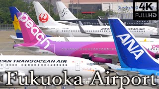 [4K] [飛行機 動画] Plane Spotting at Fukuoka Airport in Japan /福岡空港 2021/5/4