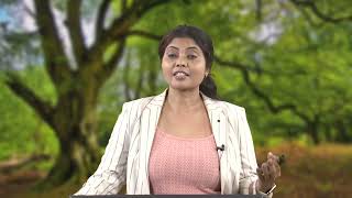 Lecture 46: EIA Methods - Landscape and Visuals #swayamprabha #ch28sp