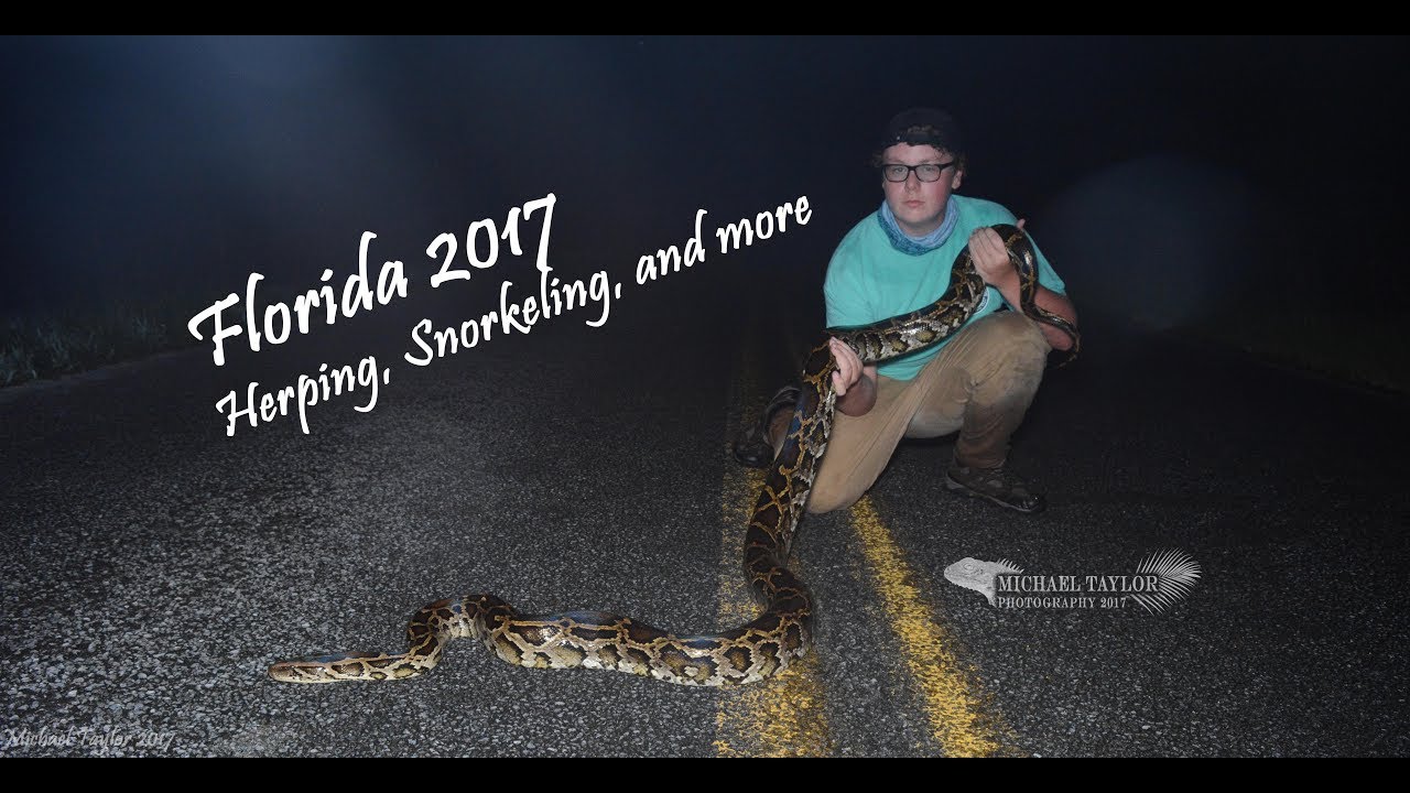 adventures of aladdin Florida 2017