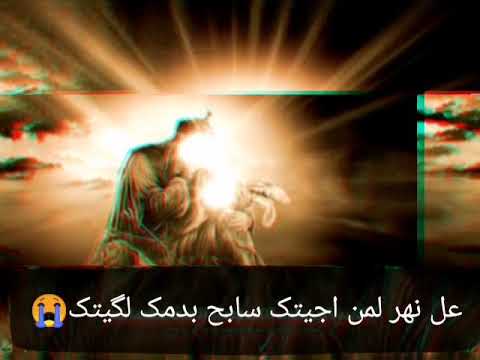 اقوی لطمیه السیده زینب تخاطب ابوالفضل العباس علیه السلام علنهر لمن اجیتک سابح بدمک لگیتک