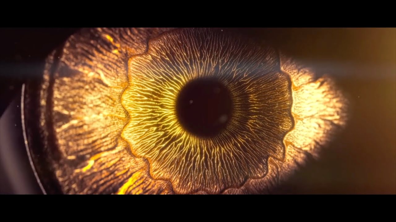 Trail Of Light - BIFSC2024 - Rescored by Reda Mourah