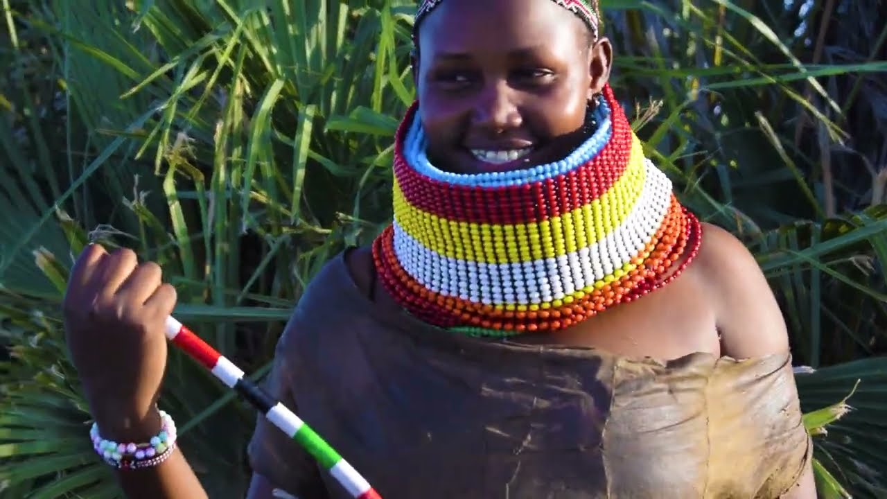 TANAIKINAE_NAUKERY COVER SONG (TABZ)