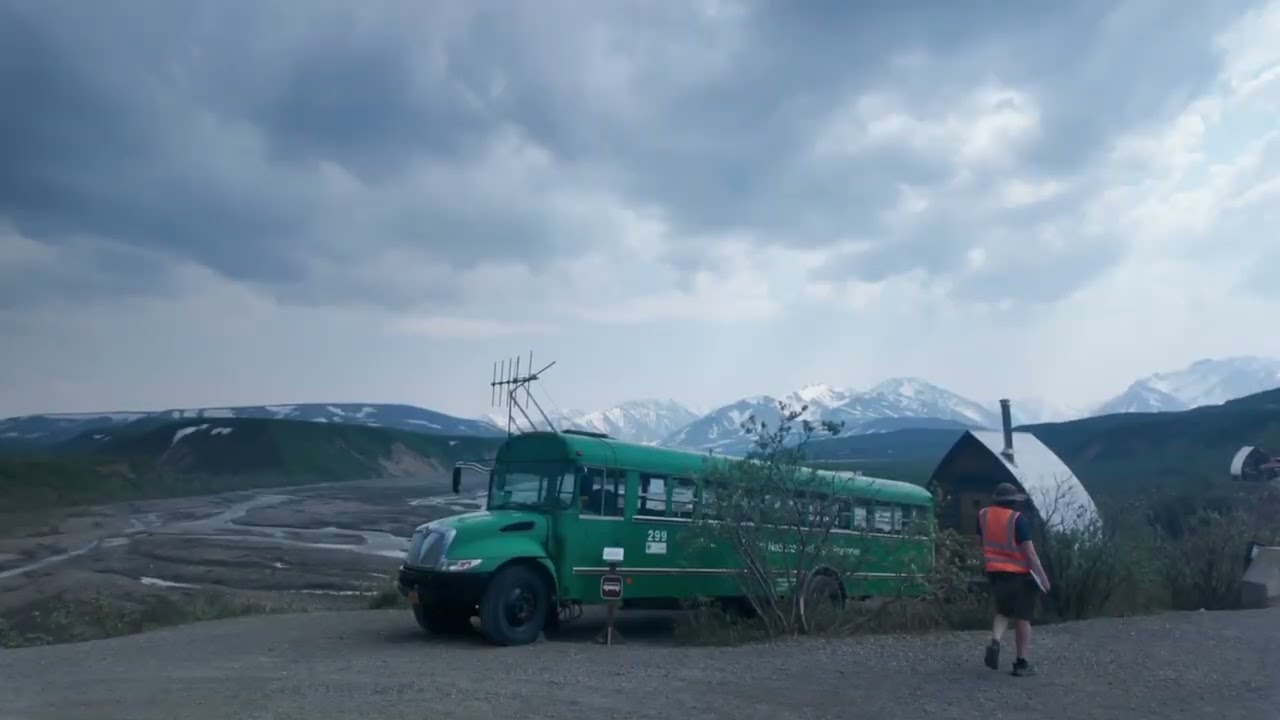 Denali National Park, Healy, Alaska 17 June 2025