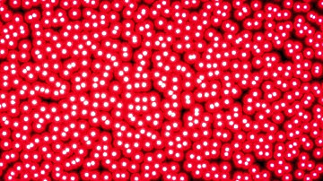 Motion White Dots Background in Red Stroke