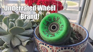 Dogtown K-9 60Mm 97A 80S Single Conical Wheels Review - Skateboard Gear Review
